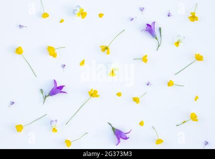 Original layout with yellow buttercup and bellflowers on white background. Flat lay. Top view. Stock Photo