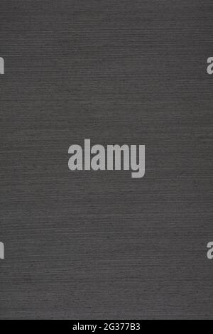 Platinum Oak veneer background in beautiful grey color as part of your strict design. Stock Photo