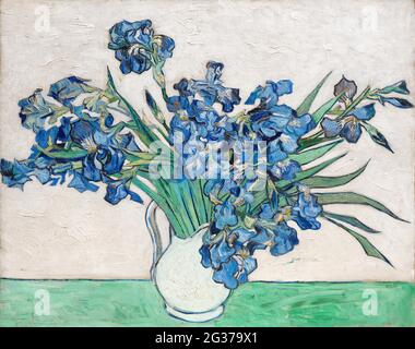 Irises (1890) by Vincent Van Gogh. Stock Photo