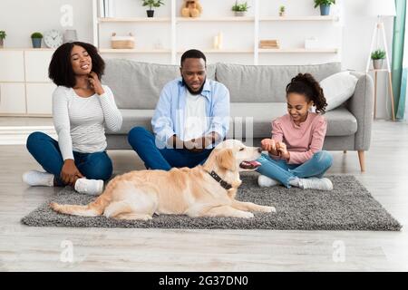 Animal Allergy. Sad black family scratching their skin Stock Photo