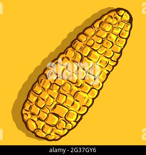 Vector art of a yellow ripe corn cob. Drawing of an isolated summer and autumn cereal.Healthy food cartoon illustration of a corncob. Stock Vector
