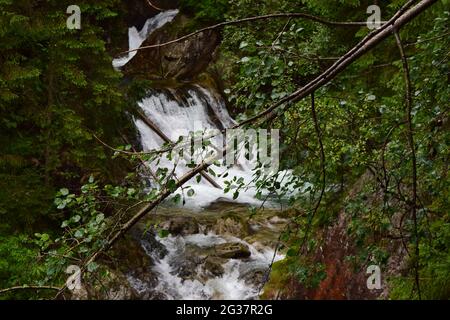 Small Spring Flowing From Rocks Freshwater spring flowing through rough rocks Stock Photo - Alamy