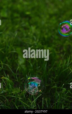 Soap bubbles on green natural background copy space Stock Photo