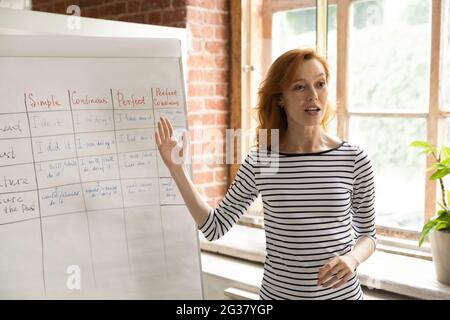 Skilled professional female teacher giving educational lecture. Stock Photo