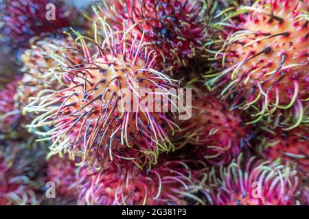 Rambutan, a tropical fruit grown in Asia. Stock Photo