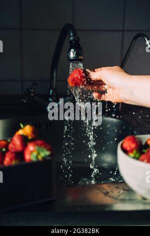 Woman hands washing fresh ripe strawberries in the kitchen. Red vibrant strawberries under water splash on kitchen sink. Fresh organic healthy fruits Stock Photo