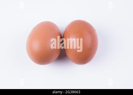 Chicken egg. The eggs of birds are a common food in the diet of humans. They are protected by a shell and are rich in proteins, mainly albumin, which Stock Photo