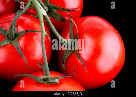 Red Tomato with Stem,isolated on black. The tomato is the edible berry of the plant Solanum lycopersicum, commonly known as a tomato plant. Andalucia, Stock Photo