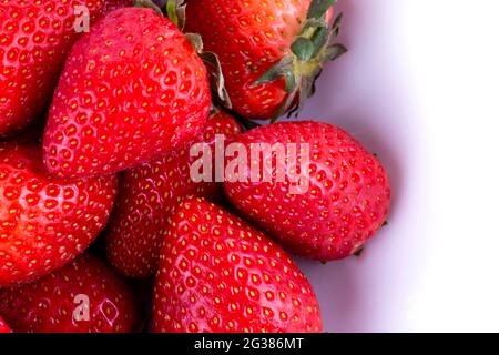 Fresh red strawberry. Fragaria genus of flowering plants in the rose ...