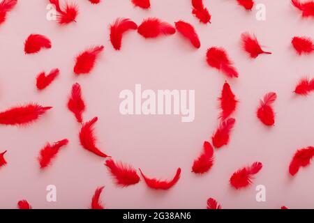 Red feathers pattern on pink color background. Frame made of soft bird feather pattern in circle shape. Red feathers texture. Top view with copy space Stock Photo