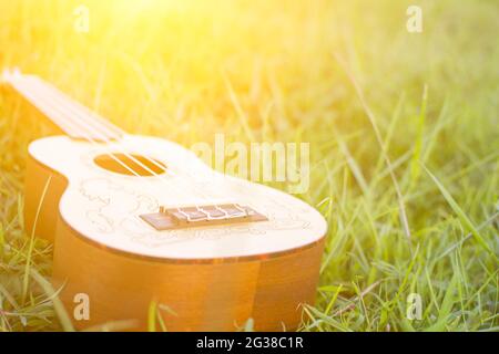 Ukulele on green grass with soft light Stock Photo