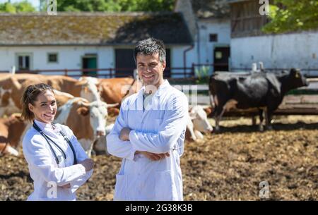 Young man and woman doctors posing with crossed arms making eye contact with camera. Two veterinarians wearing lab coats standing on ranch with cows i Stock Photo