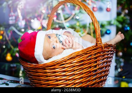 Newborn baby in basket under Christmas tree Stock Photo