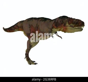 Daspletosaurus was a carnivorous theropod dinosaur that lived in North America during the Cretaceous Period. Stock Photo