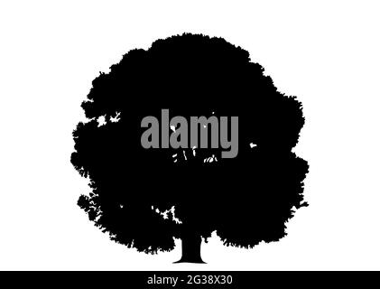 Oak tree symbol. Cut out black shape on a white background illustration. Graphic element for logo, print, design, pattern. Vector. Stock Vector