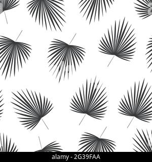 Palm leaves Monochrome vector illustration Stock Vector