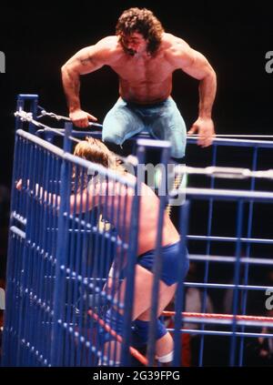 Rick Rude Vs Roddy Piper Roddy Piper, 1989, Photo By John Barrett/PHOTOlink Stock Photo - Alamy