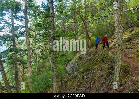Senior women (model released) hiking through the forest on the Obstruction Pass State Park Trail on Orcas Island in the San Juan Islands in Washington Stock Photo