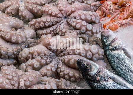 Images of Chioggia Stock Photo