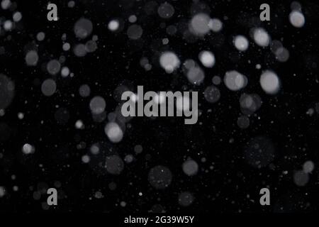 Falling snow out of focus on the black background. Design element for overlay. Snow layer for design. Stock Photo