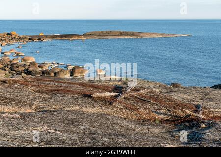 Kayaking and camping at Kilpisaari island with old World War II barbed wires in front of the photo, Kotka, Finland Stock Photo