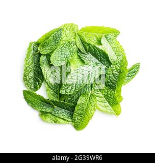 Green mint leaves isolated on white background. Stock Photo