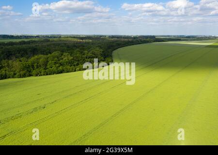 Wanzleben, Germany. 13th June, 2021. Freshly tilled fields stretch to the horizon in the Magdeburger Börde. (Photo taken with a drone). Credit: Stephan Schulz/dpa-Zentralbild/ZB/dpa/Alamy Live News Stock Photo