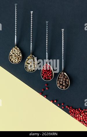 Different varieties of peppercorns in metal spoons on a double-colored paper background Stock Photo