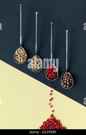 Different varieties of peppercorns in metal spoons on a double-colored paper background Stock Photo