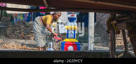 Panoramic view of elderly hindu Indian female tending to her tulsi vrindavan holy basil plant in her home courtyard, Agonda, Goa, India Stock Photo