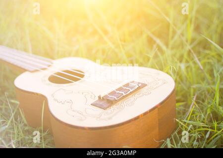Ukulele on green grass with soft light Stock Photo