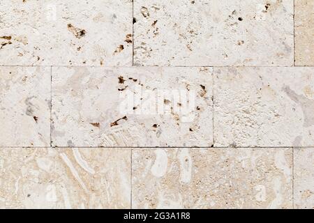 Stone wall made of shelly limestone, a highly fossiliferous limestone, composed of a number of fossilized organisms. Background texture, front view Stock Photo