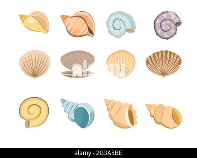 Set of seashells. Shell. Underwater world. Aquarium or pond. Summer water. Isolated on white background. Illustration in cartoon style. Flat design Stock Vector