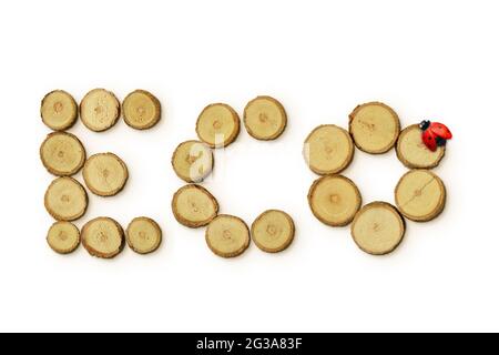 The word Eco made of wood slices with ladybug on white background - Concept of ecology Stock Photo