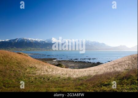 Kaikoura Coastline, Canterbury, New Zealand. Scenic view from a grassy hillside,  Kaikoura Peninsula Walkway across bay to snow capped mountains Stock Photo