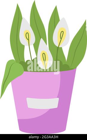 vector illustration of a Calla Lilies silhouette isolated on white background Stock Vector Image