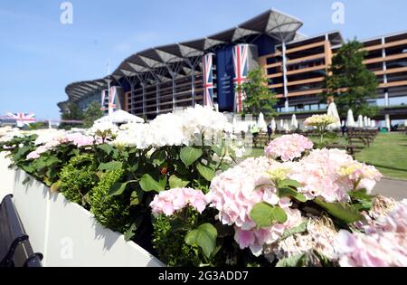 Flowers in bloom around the course as racegoers start to arrive on day one of Royal Ascot at Ascot Racecourse. Picture date: Tuesday June 15, 2021. Stock Photo