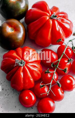 Selection of Rich Ripe Red Tomatoes, Beef Tomatoes, Isolated on a Plain Background Stock Photo