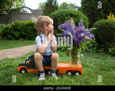 cute 4-5 year old boy in shorts and shirt sits on toy orange truck with bouquet of lupine flowers. little courier, gift to friend, with love for mom. Stock Photo
