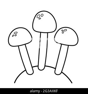 Edible mushrooms. Vector illustration in doodle style. Stock Vector