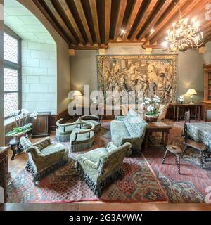 THE LIBRARY, WHICH HAS BEEN RESTORED IDENTICALLY. ON THE WALLS, THREE AUBUSSON TAPESTRIES REPRESENTING THE LIFE OF ALEXANDER THE GREAT.FRANCE - LOIRE Stock Photo