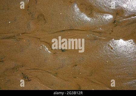 Patterns caused by water flow in wet beach sand Stock Photo