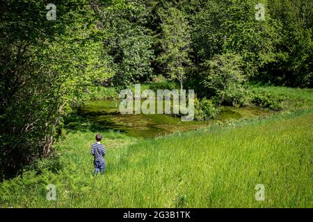 boy walking alone in meadow,   boy, child,, childhood, field, grass, green, kid, meadow, nostalgy, outdoor, outside, people, person, summer, walking Stock Photo