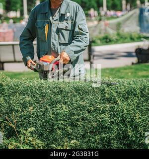 Abstract gardener in green working suit cutting bushes with an electric Trimmer Machine Stock Photo