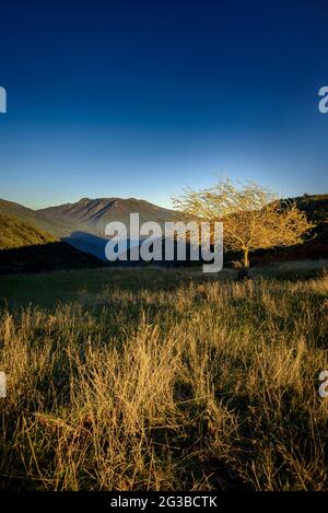 Montseny mountain seen from the Cafè del Pla de la Calma, with the peaks of Turó de l'Home and Agudes in the background (Osona, Barcelona, Catalonia) Stock Photo