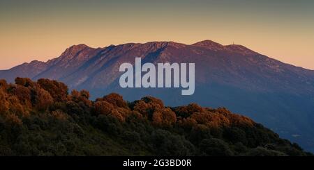 Montseny mountain, seen from the Pla de la Calma meadow, with the view of Turó de l'Home and Agudes summits at sunset (Barcelona, Catalonia, Spain) Stock Photo
