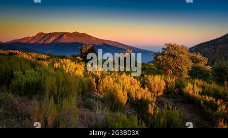 Montseny mountain, seen from the Pla de la Calma meadow, with the view of Turó de l'Home and Agudes summits at sunset (Barcelona, Catalonia, Spain) Stock Photo