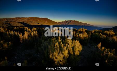 Montseny mountain, seen from the Pla de la Calma meadow, with the view of Turó de l'Home, Matagalls and Agudes summits at sunset (Barcelona, Spain) Stock Photo