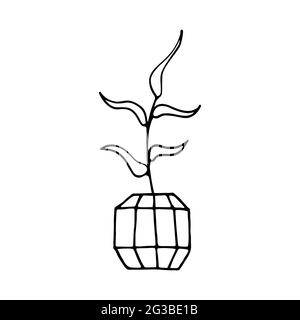 Doodle plant in a faceted pot. Hand-drawn leaves with poly flower pot. Black outline of a home plant isolated on a white background. Cute Scandinavian Stock Vector