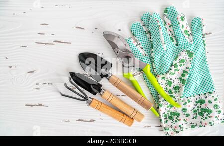Gardening tools for indoor home planting. Mini trowel, fork, pruner for repotting plants on white background Stock Photo